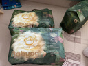 babycare金山茶花拉拉裤XXL30片(>15kg)婴儿尿不湿超薄透气新生柔花苞裤 实拍图