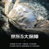 【活蟹】宿有千香 鲜活大闸蟹 全母蟹2.0-2.3两/只 共8只 去绳足重 蟹类螃蟹河蟹礼盒 实拍图