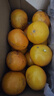 黄六爷正宗广西沃柑10斤新鲜橘子水果武砂糖皇帝橘柑桔子鸣当季整箱沃柑 3斤 中果【新鲜超甜现摘】 实拍图