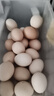 耕果妙林下散养土鸡蛋30枚初生蛋2.4斤农家柴鸡蛋包邮 源头直发 实拍图