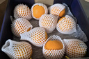 新奇士（Sunkist） 澳洲黑标晚熟脐橙4斤礼盒装 单果180g起 生鲜水果礼盒 实拍图