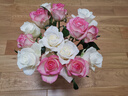 京东鲜花玫瑰花随机色20枝(随机2种配色)如意基地鲜切花生活花束源头直发 实拍图