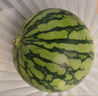 京鲜生 无籽麒麟西瓜 1粒装 单果5-7斤 生鲜水果 实拍图