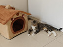 阿柴与猫封闭式猫窝大房子小型犬狗窝睡觉猫狗屋可拆洗四季通用宠物窝 实拍图