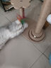 HELLOJOY猫抓板猫爬架一体耐磨不掉屑剑麻抓柱耐抓逗猫棒猫咪玩具自嗨解闷 实拍图