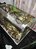 森森 超白玻璃小鱼缸HWK-600P裸缸款水草缸金鱼缸小型水族箱水草缸  实拍图