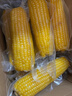 京鲜生 东北黄玉米净重3.6斤 8根*220g+ 真空包装加热即食 源头直发 实拍图