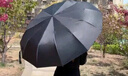 小米之家生态链同款全自动伞加强伞骨雨伞太阳伞防紫外黑胶防晒遮阳伞 120骨黑胶全自动【黑色】 实拍图