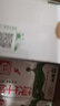 蒙牛全脂纯牛奶250ml*16盒 牛奶送礼盒装 电商定制 部分地区8月 实拍图
