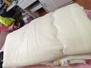 神气小鹿泡芙被Pro冬被芯加厚保暖冬季被子单双人被褥春秋被芯宿舍四季被 泡芙被Pro加厚被 远红外发热+吸湿抗菌 奶油白 室温＜12℃ 220*240cm-7A级抗菌【双人适用】 实拍图