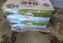 蝶泉新希望特浓纯牛奶250g*24盒整箱 绿色食品3.3g原生乳蛋白 早餐奶 实拍图