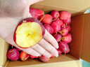 映棠 东北鸡心果5斤【顺丰快递—多地次日达】海棠果玫瑰小苹果礼盒装 3斤大果【人工精选】 现摘现发 实拍图
