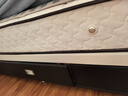 喜临门 椰棕床垫 邦尼尔弹簧床垫 抑菌防螨床垫 极光白2S 1.8x2米 偏硬 实拍图