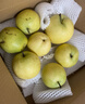 京鲜生 河北青皮皇冠梨 净重4.5斤 单果200g+  生鲜水果 源头直发 实拍图