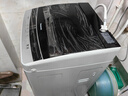 松下（Panasonic）【吴磊推荐】波轮洗衣机全自动8公斤 宿舍租房神器 迷你内衣洗衣机智能桶自洁以旧换新XQB80-K3F1 实拍图