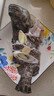 鲜活龙胆石斑鱼450-550g/条 实拍图