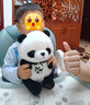 威尔通（WELTSTON）毛绒玩具玩偶公仔抱枕布娃娃摆件儿童生日礼物女生 大熊猫公仔 实拍图
