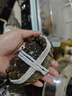 【活蟹】湖鲜阳澄大闸蟹公3.8-4.1两 母2.8-3.1两4对8只年货送礼鲜活螃蟹礼盒源头直发 实拍图