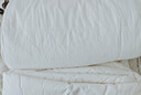 京东京造100%天然新疆棉花被 纯棉被芯双人被子 冬季厚被8斤2x2.3m 实拍图