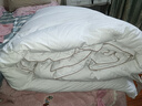 斯诺曼【暖芯】90%白鸭绒被子羽绒被芯 加厚冬被220*240cm填充1400g白色 实拍图