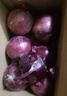 京鲜生 甘肃紫皮洋葱带皮 净重5斤 单果300g+ 新鲜蔬菜源头直发 实拍图