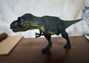 麦趣星球儿童大号仿真恐龙模型玩具动物手办礼博物馆侏罗纪远古猎食霸王龙 实拍图