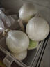 全疆集新疆白洋葱 皮牙子新鲜蔬菜 生吃凉拌 白洋葱 5斤 实拍图