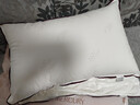 水星家纺枕头枕芯酒店枕头护颈枕头芯家用一对纯棉抗菌可水洗中枕48x74cm 实拍图