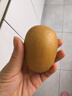 佳沛（zespri）新西兰  阳光金奇异果10粒礼盒巨大果单果约144-175g 水果 猕猴桃 实拍图