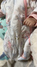 贝肽斯婴儿睡袋暖姜恒温儿童一体睡袋婴幼儿防踢被睡衣秋冬中厚 甜梦S 实拍图