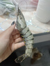 GUO LIAN国联 黑虎虾超大规格斑节虾无冰净重2斤 16-20只高虾青素虾类海鲜 实拍图