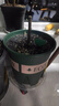 九千谷加仑花盆 高5加仑升级款 园艺绿植花盆塑料花盆30*30cm 2个装5945 实拍图