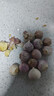 云南紫皮独头蒜干蒜果经3.0mm+ 大果直径3.0左右（7头） 实拍图