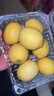 京鲜生 安岳黄柠檬 8粒 单果95-120g 生鲜水果 实拍图
