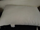 洁丽雅（Grace）A类纯棉高弹酒店枕头枕芯护颈枕颈椎枕家用枕芯成人睡觉专用高枕 实拍图