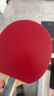 红双喜DHS狂飚六星乒乓球拍横拍反胶弧圈结合快攻H6002含拍包 实拍图