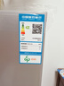 上菱185升双开门冰箱1.5米高左右小型出租房家用两门二门小户型双门宿舍办公以旧换新BBM185L 实拍图