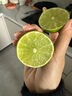 台湾品种 塔希提无籽青柠檬 香水柠檬 新鲜皮薄 多汁沁香 绿色 尝鲜装净重250g（花皮果） 实拍图