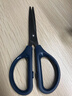 得力(deli)160mm办公生活家用剪刀 小剪子手工剪纸刀 办公用品 蓝色0602 实拍图