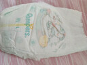 帮宝适（Pampers）清新透气 清新帮 XL84片【清新帮拉拉裤】 实拍图