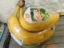 黄胖子进口香蕉650g 实拍图