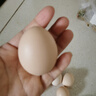 芮瑞 农家散养新鲜现捡鸡蛋笨鸡蛋谷物柴鸡蛋初生蛋 单枚40±5g 土鸡蛋20枚 实拍图