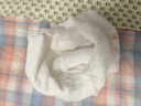 爸爸的选择拉拉裤极薄2.0轻薄透气学步裤男女通用棉柔干爽拉拉裤 2.0拉拉裤4XL34片（20KG以上） 实拍图