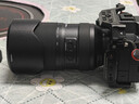 腾龙（Tamron）A065S 70-180mm F/2.8 Di III VC VXD G2二代防抖大光圈长焦变焦全画幅微单镜头(索尼全幅E口) 实拍图