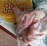 硒全食美富硒汤鸽 520g (260g*2只) 冷冻煲汤滋补 供港鸽子肉 生鲜鸽子汤 实拍图