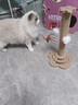 HELLOJOY猫抓柱剑麻猫抓板猫玩具耐抓耐磨不掉屑猫爬架立式自嗨解闷用品 实拍图