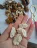 沐小七果蔬 大凉山新鲜湿核桃【多地次日达】去青皮嫩纸皮核桃水果礼盒送礼 S+级老树甄选果【品质升级】 去青皮5斤装【送夹子】超划算-80%选丨净4斤 实拍图