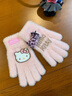 三丽鸥官方正品hellokitty手套冬季女保暖骑行毛绒可爱五指可触屏 正版授权-Hello Kitty【少女粉+豹纹/蝴蝶结】甜美百搭 三丽鸥-Hello Kitty-手套【均码】柔软亲肤-防风防寒 实拍图