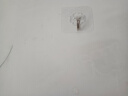 米乐奇白墙专用挂钩贴墙自粘免打孔水泥墙壁乳胶漆石灰白灰墙超强力粘钩 透明【20个装】 实拍图