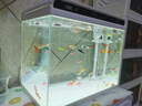 森森 超白玻璃智能桌面鱼缸一体缸自循环HE-480 实拍图